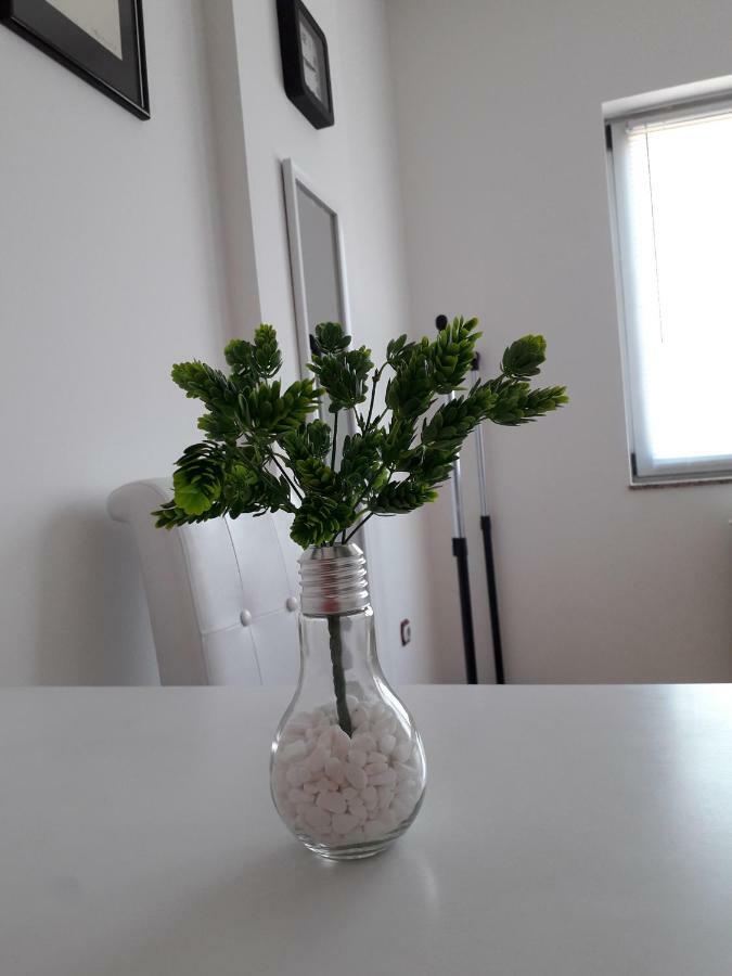 Apartman Dunja Ns 2 Újvidék Kültér fotó